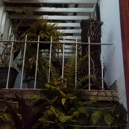 Hostel Mdemarilia نوفا فريبورغو المظهر الخارجي الصورة